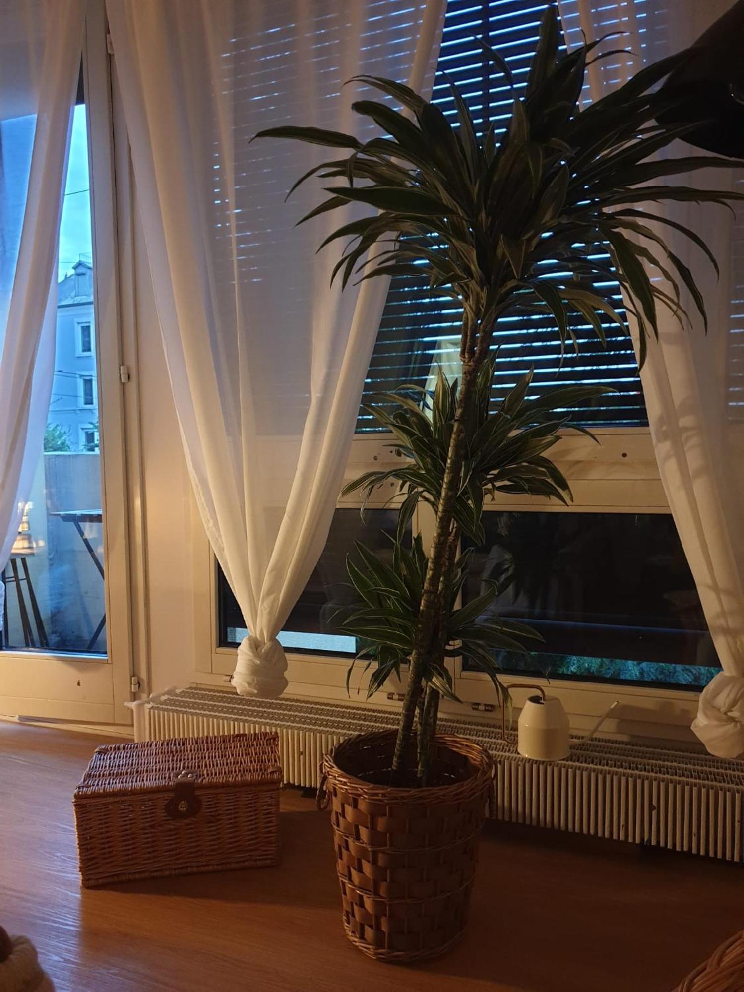 El Destino Apartments Zurich Bagian luar foto